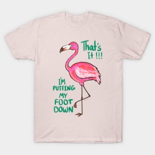 THAT'S IT! I'M PUTTING MY FOOT DOWN! T-Shirt